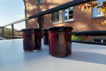 Domácí marmeláda z lesního ovoce